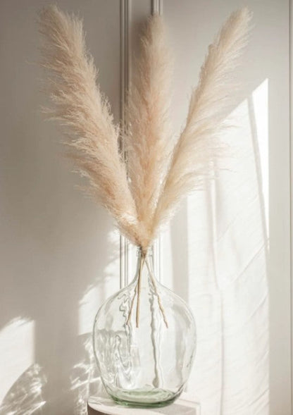 Pampas Vase