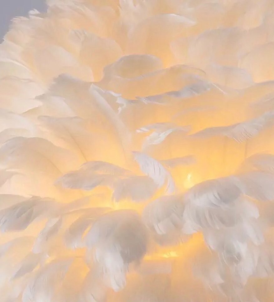 TRENDY FEATHER LIVING ROOM LAMP